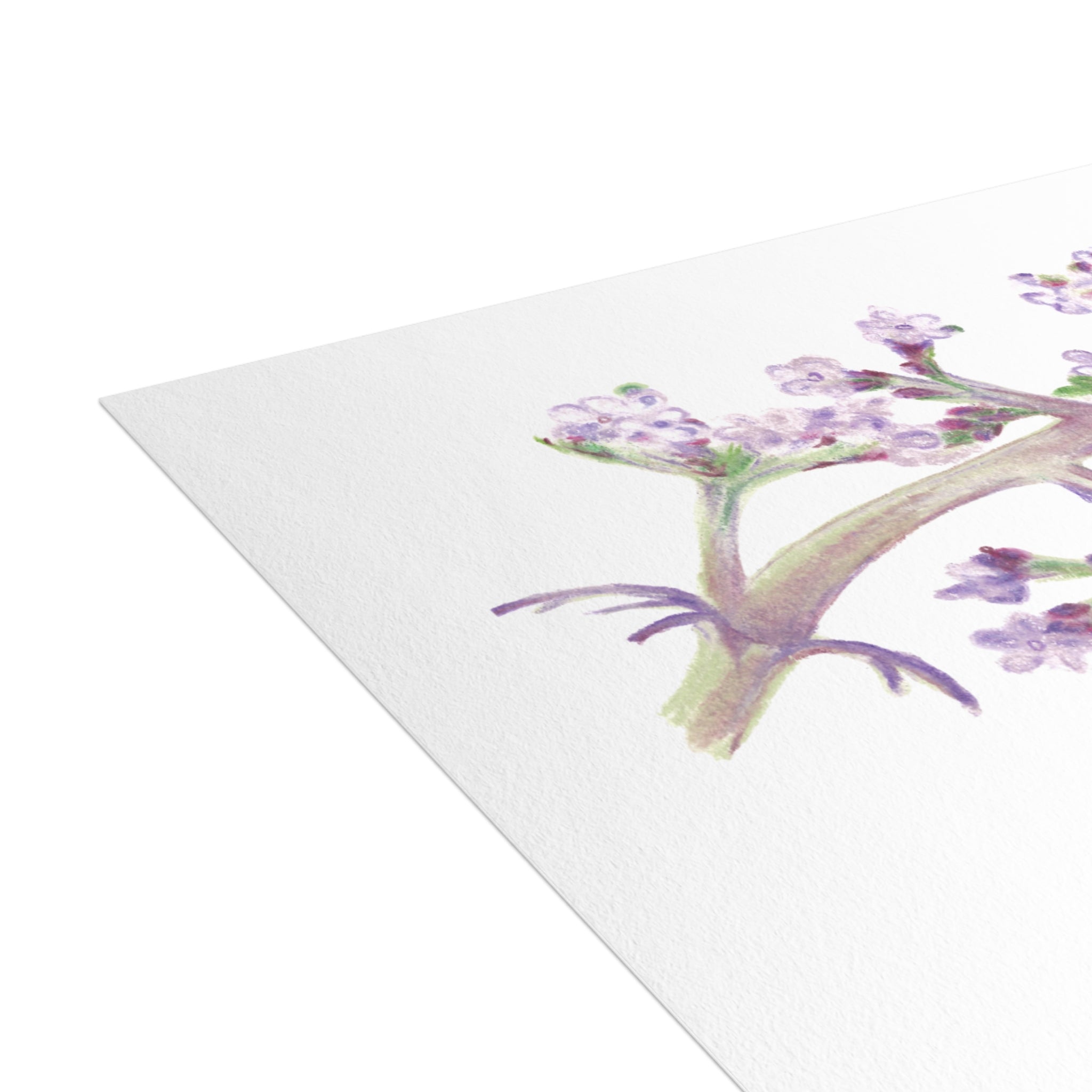 Butterfly Postcard Bundles (envelopes not included)