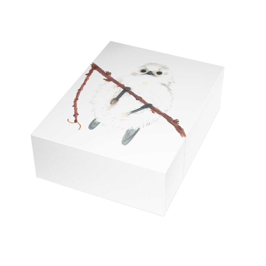 Long-Tailed Tit Postcard Bundles (envelopes not included)