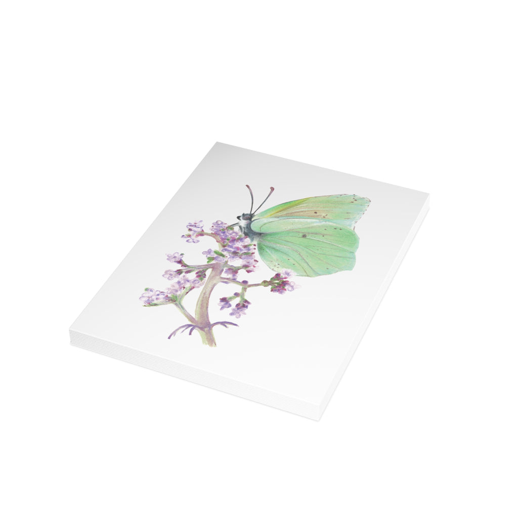 Butterfly Postcard Bundles (envelopes not included)
