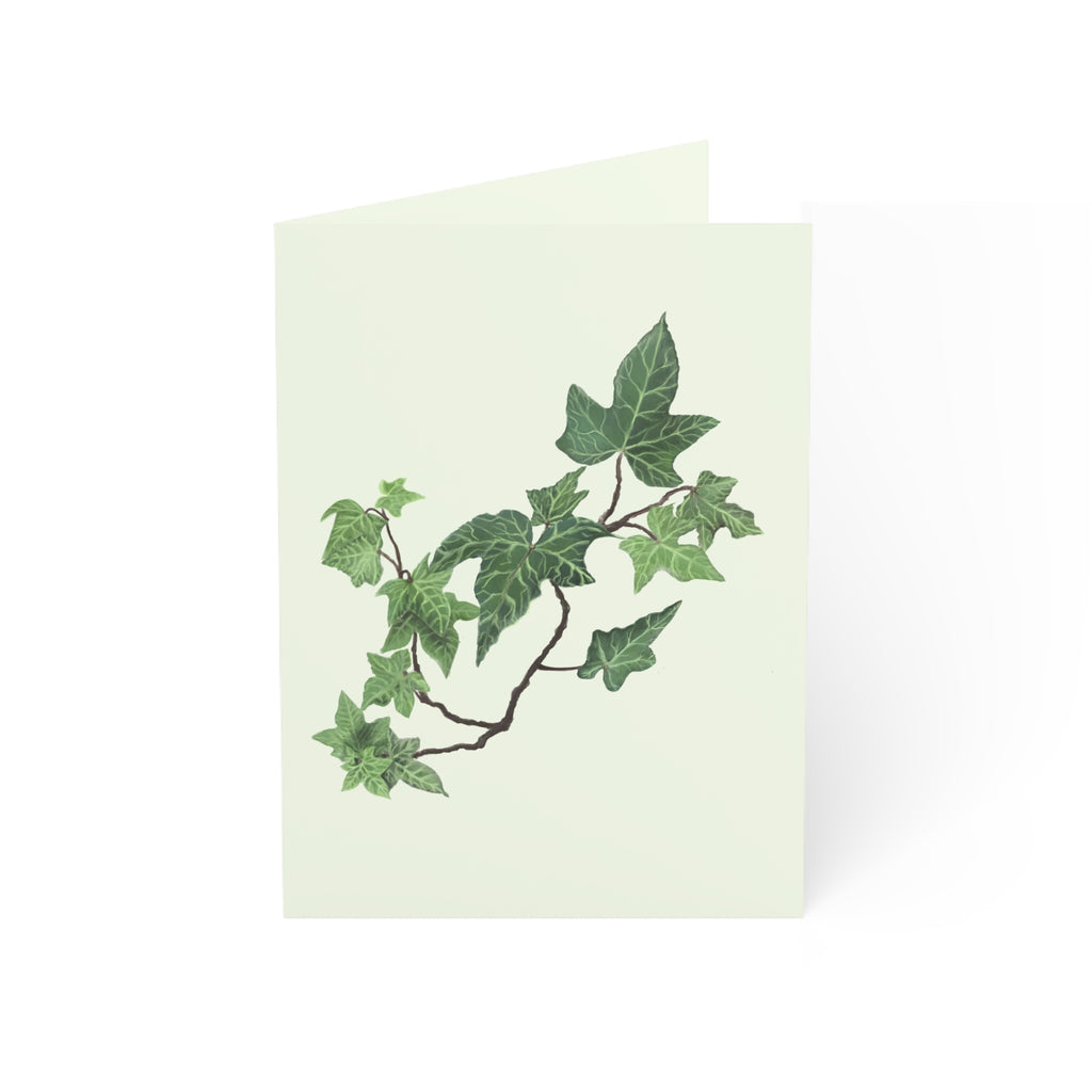Ivy Branch Greeting Cards — Botanical Blank Note Cards (1/10/30/50pcs)