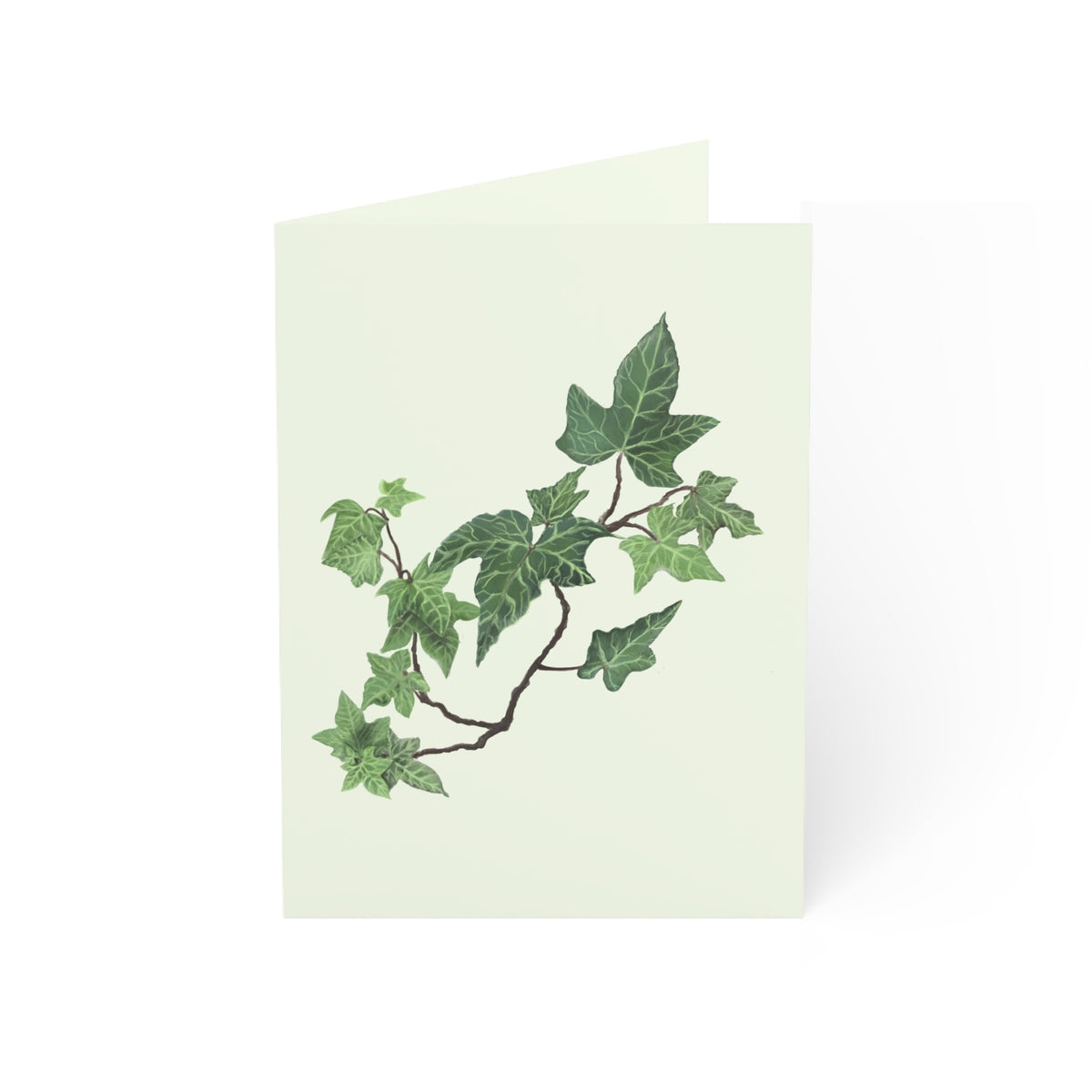 Ivy Branch Greeting Cards — Botanical Blank Note Cards (1/10/30/50pcs)