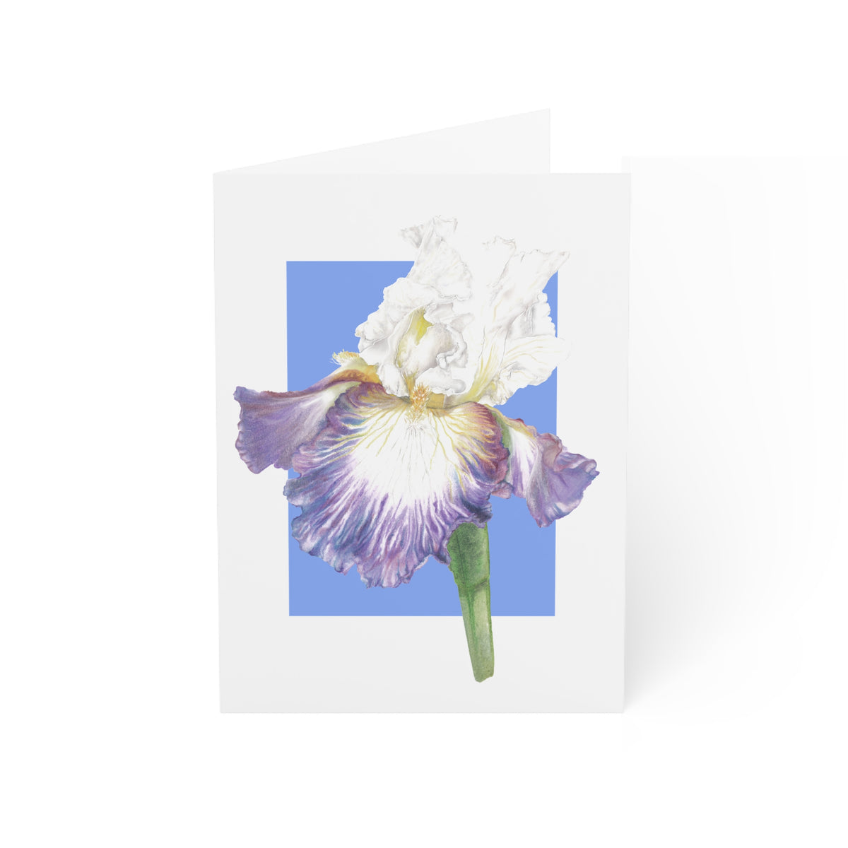 Iris Floral Greeting Card — Watercolor Iris Blank Note Card (Single or Pack)