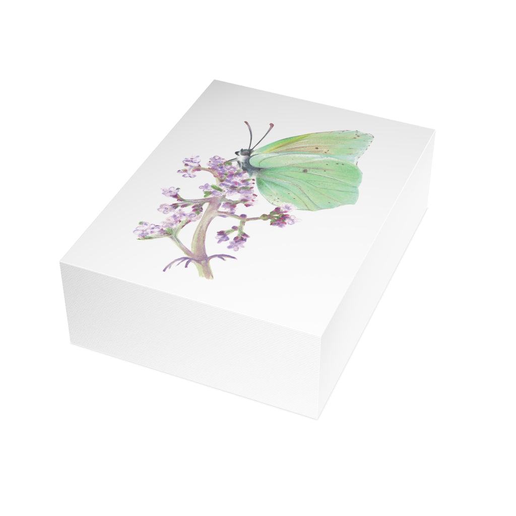 Butterfly Postcard Bundles (envelopes not included)