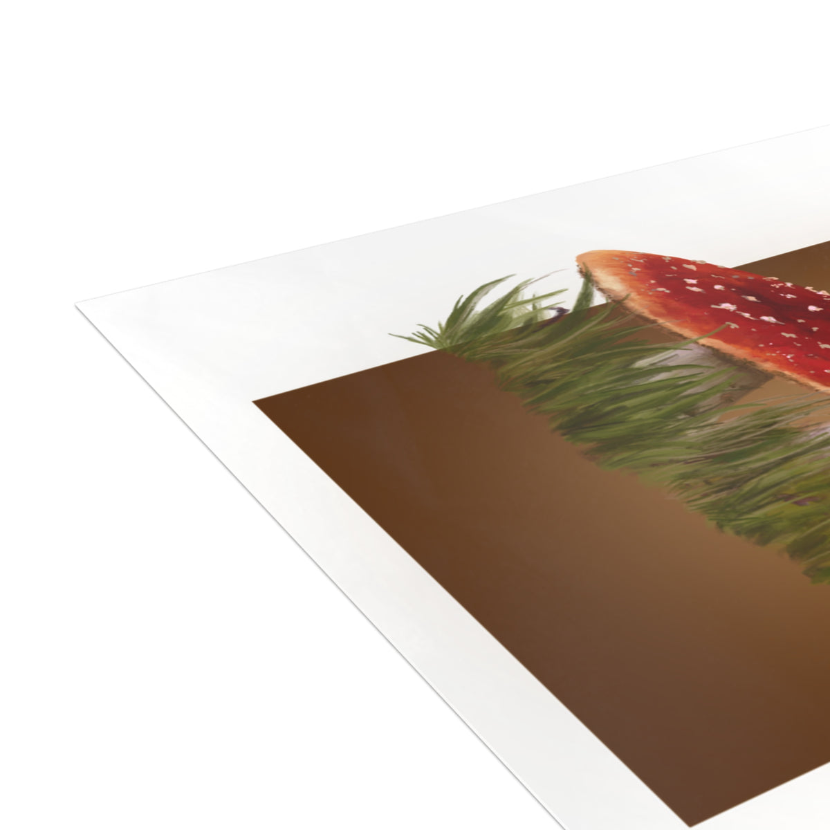 Fall Mushroooooms Postcard Bundles (envelopes not included)