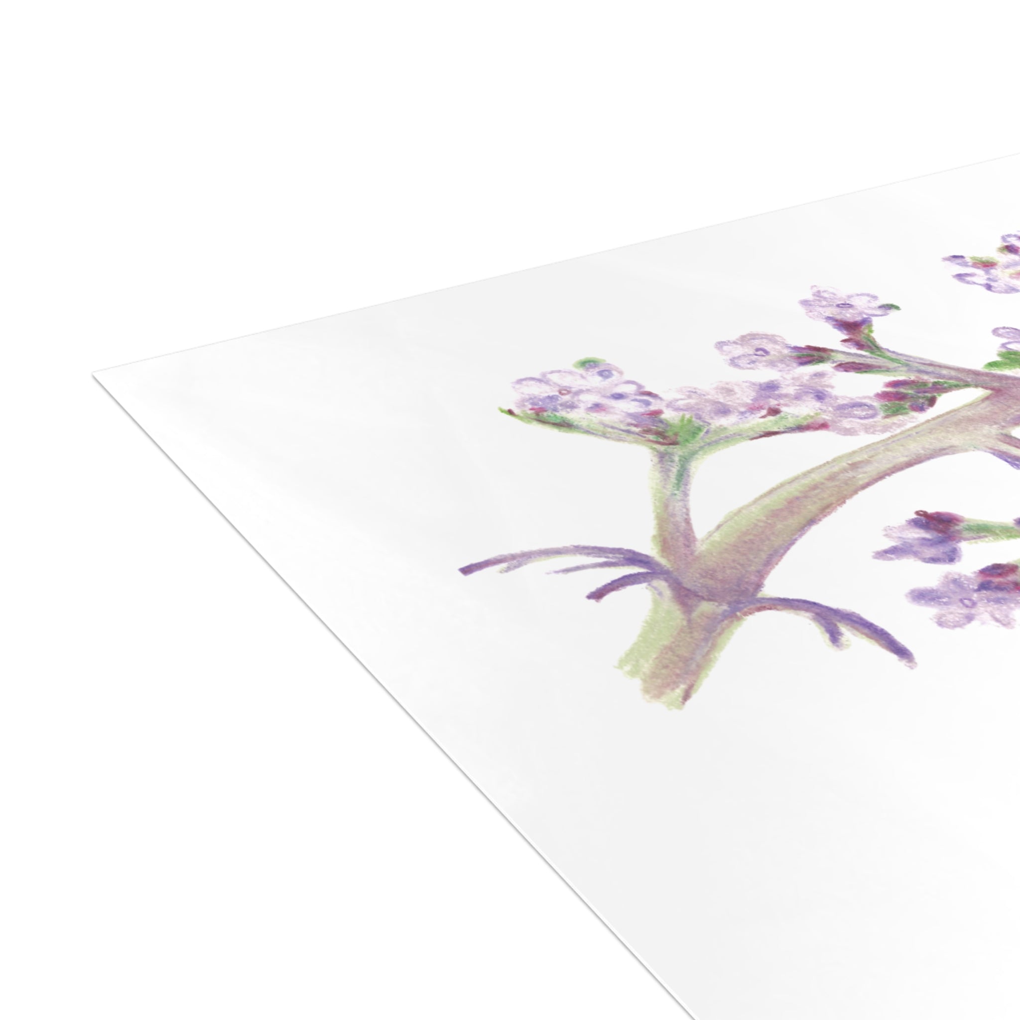 Butterfly Postcard Bundles (envelopes not included)