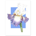 1f0247ba-992d-4fad-954b-15ee19a81d94