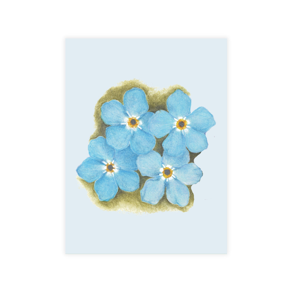 Forget-Me-Nots Postcard Bundles (envelopes not included)