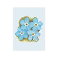 Forget-Me-Nots Postcard Bundles (envelopes not included)