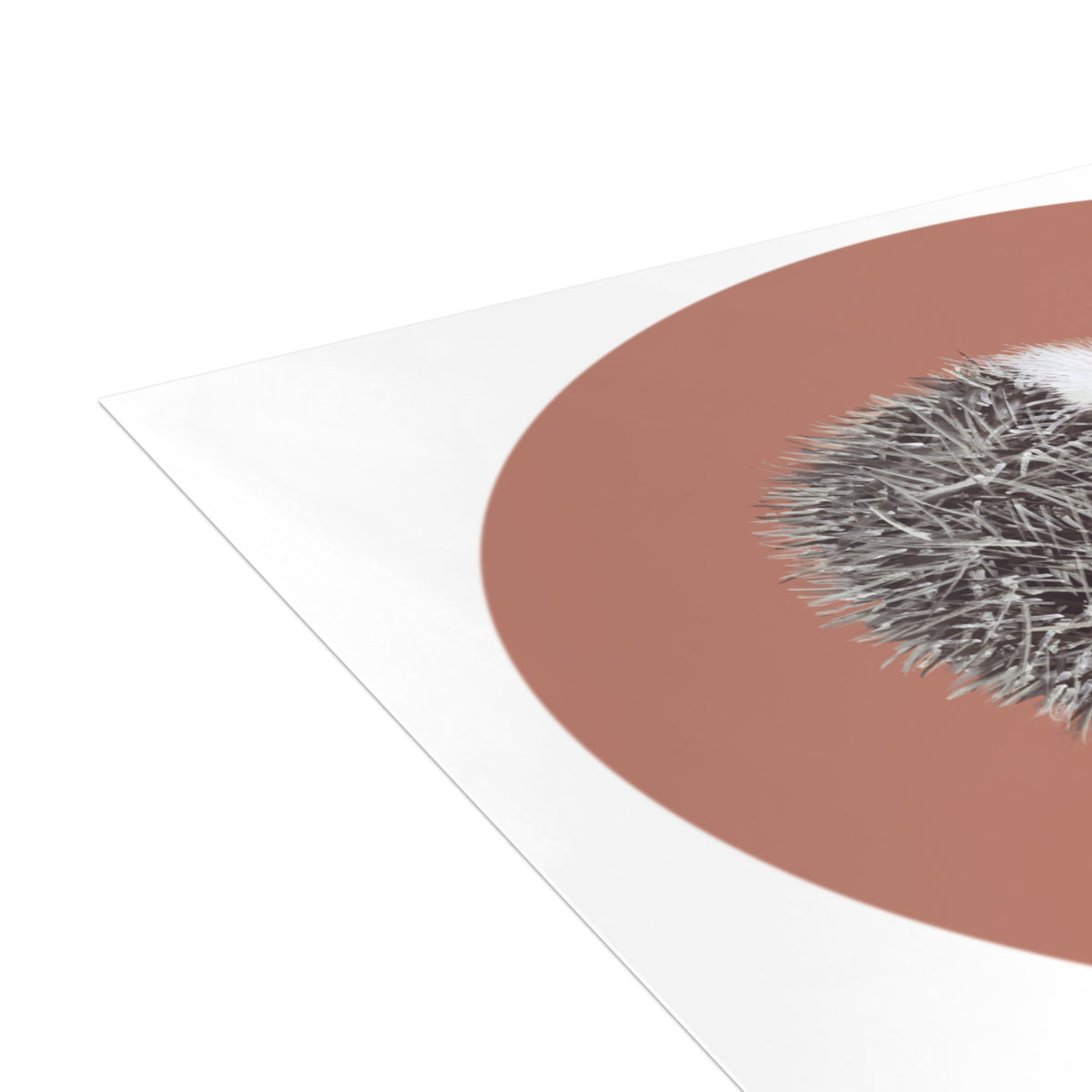 Sir Sphere Postcard Bundles (envelopes not included)