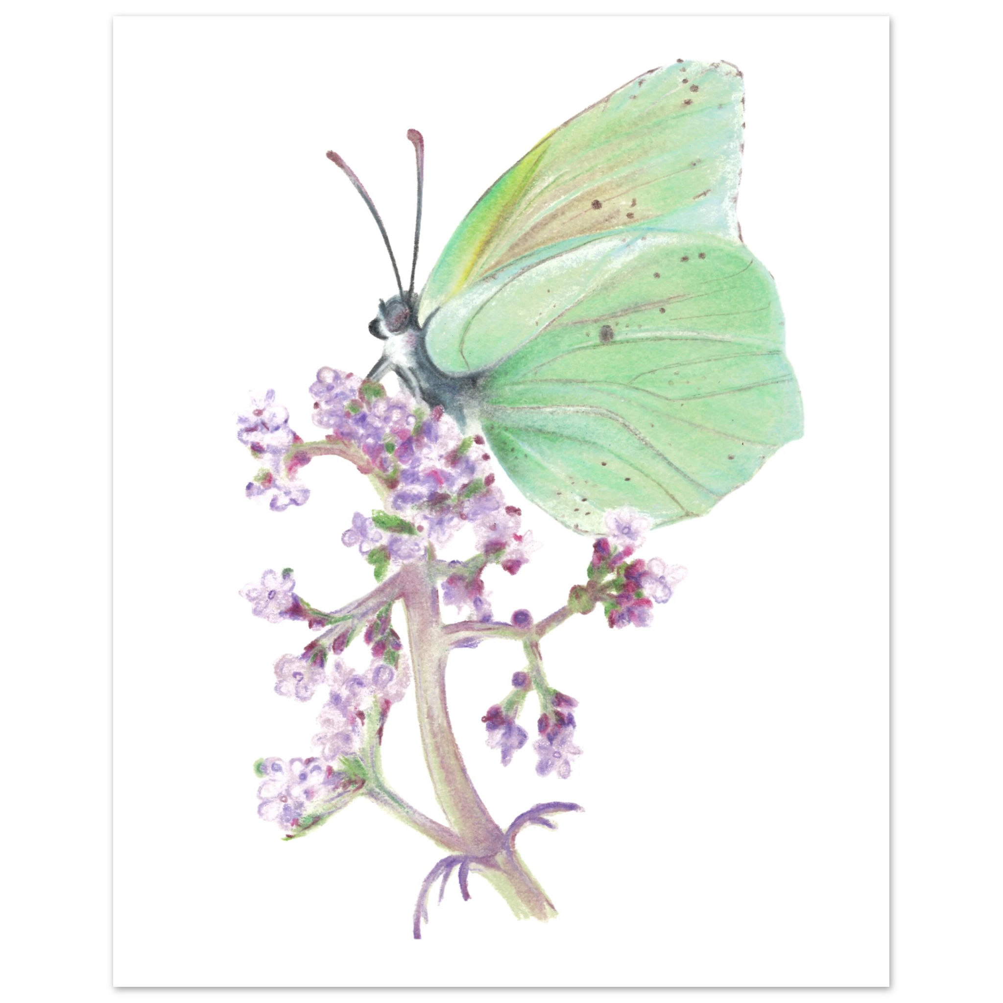 318fb47b-cb12-4ac2-93e9-adcb7452048c