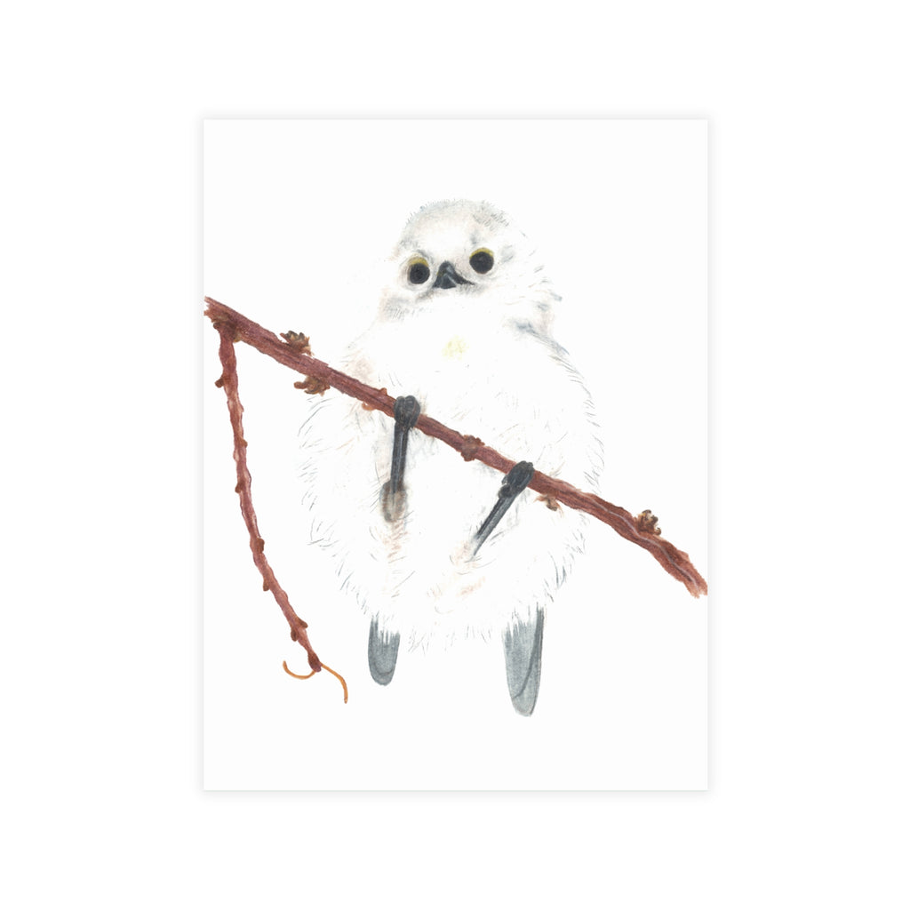 Long-Tailed Tit Postcard Bundles (envelopes not included)