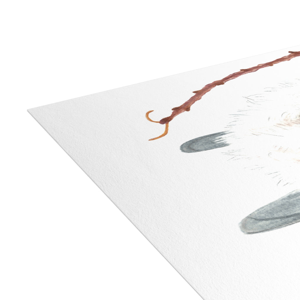 Long-Tailed Tit Postcard Bundles (envelopes not included)