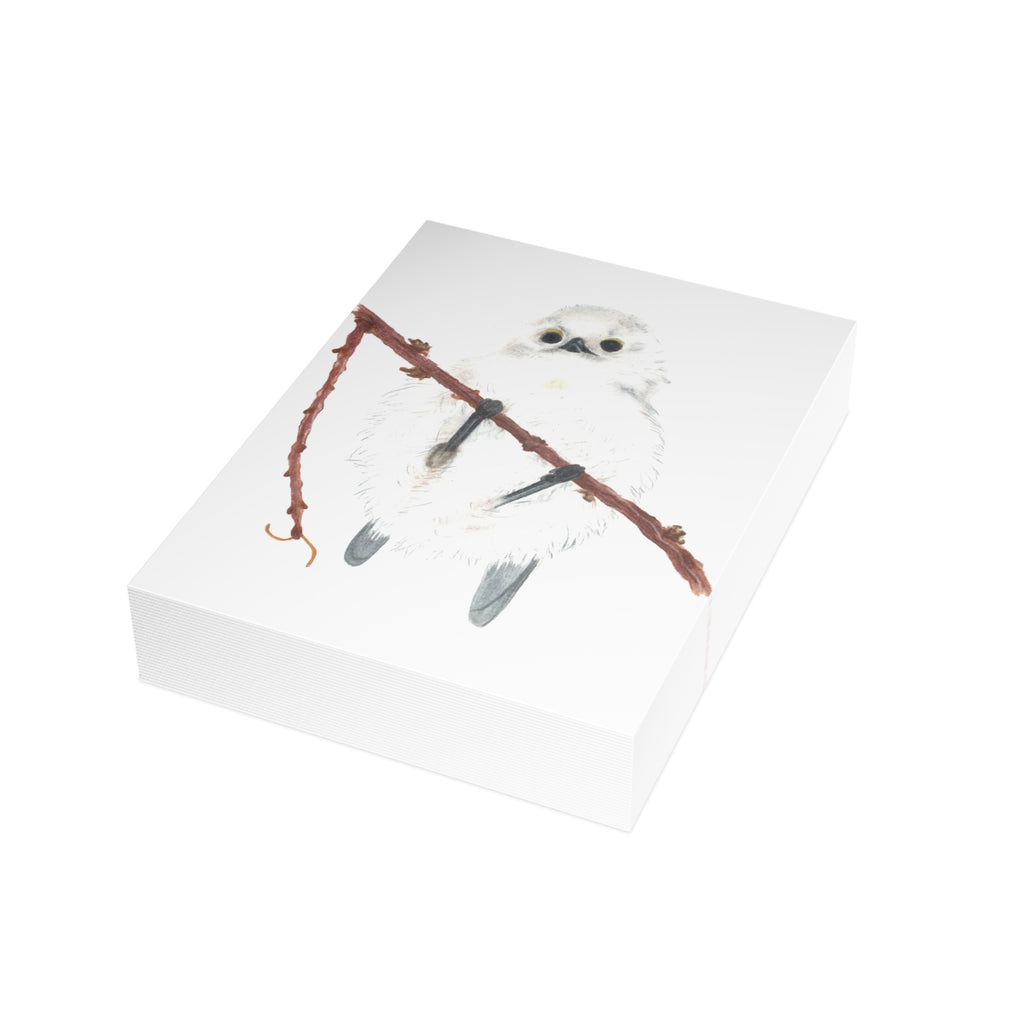 Long-Tailed Tit Postcard Bundles (envelopes not included)