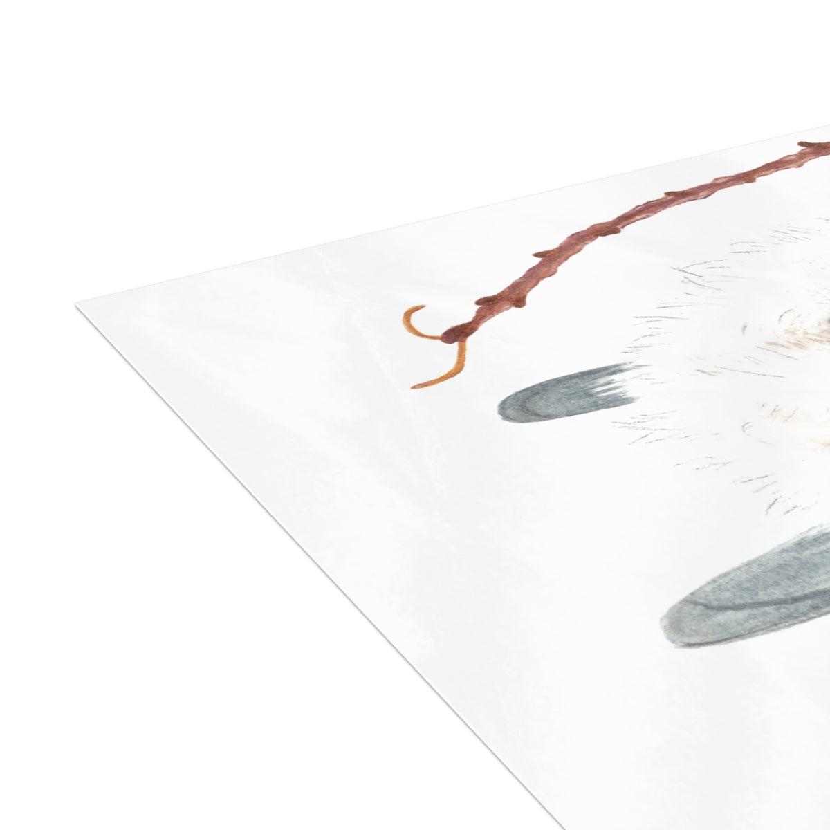 Long-Tailed Tit Postcard Bundles (envelopes not included)