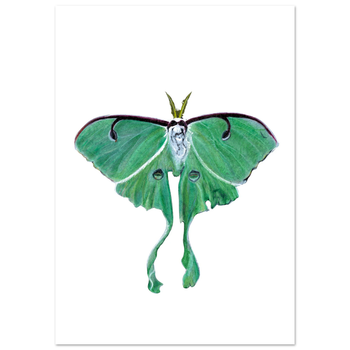 56f6d28c-1c89-419e-8be1-e9e51d84e1f6