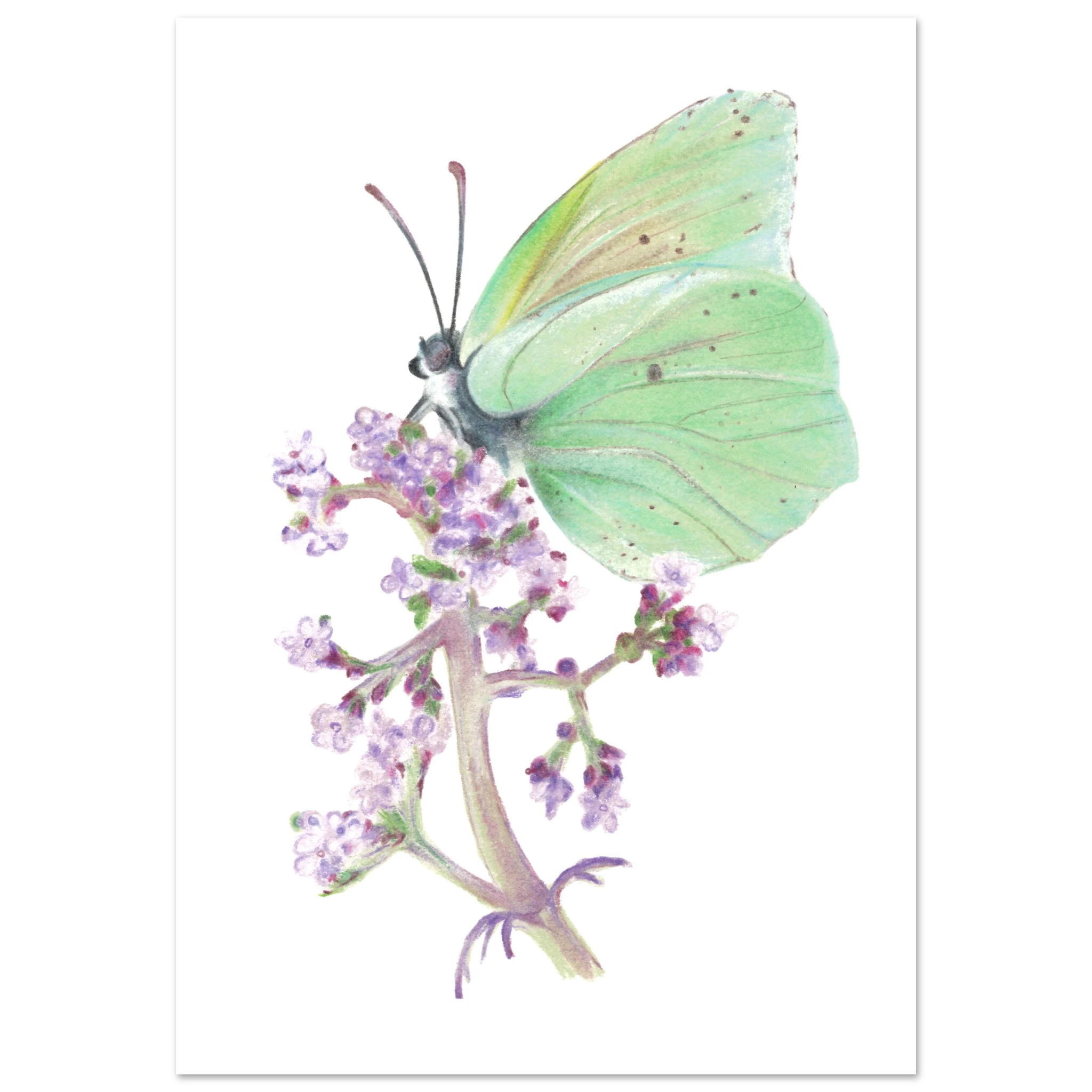 5e4161c7-bdbc-4b4a-aa8b-82ea1906e9b5