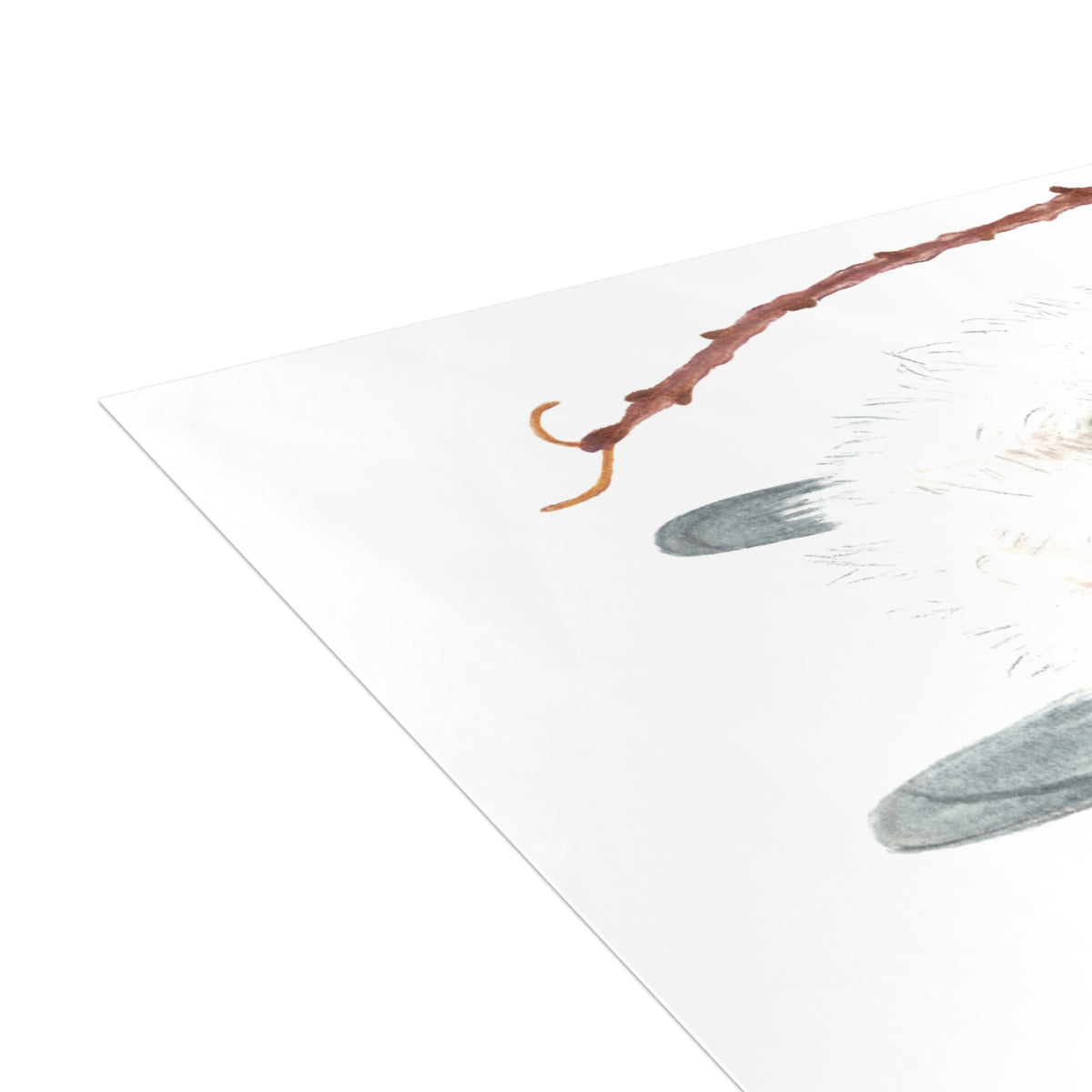 Long-Tailed Tit Postcard Bundles (envelopes not included)