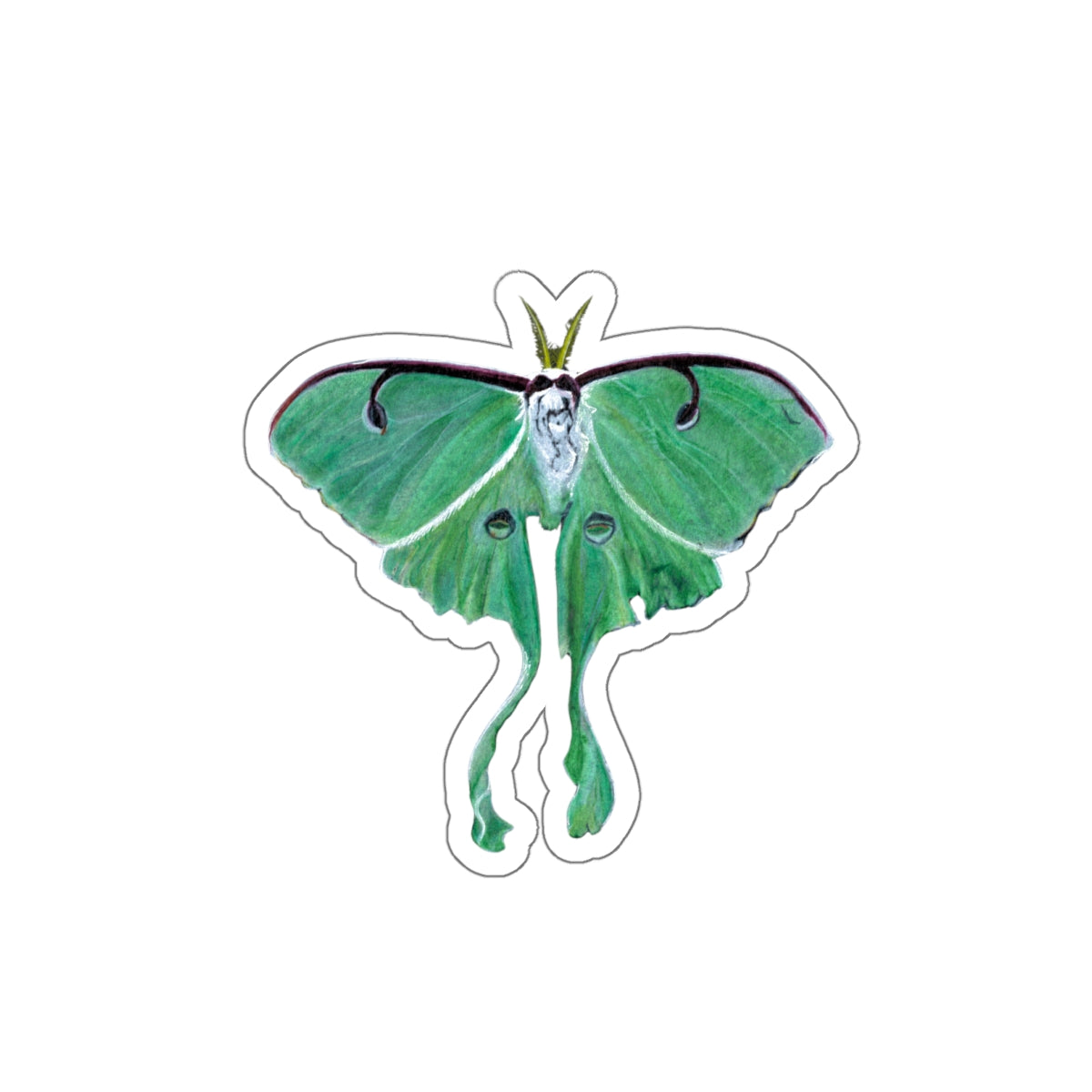 Luna Moth Die-Cut Sticker — Vinyl Decal for Laptops & Nature Lovers
