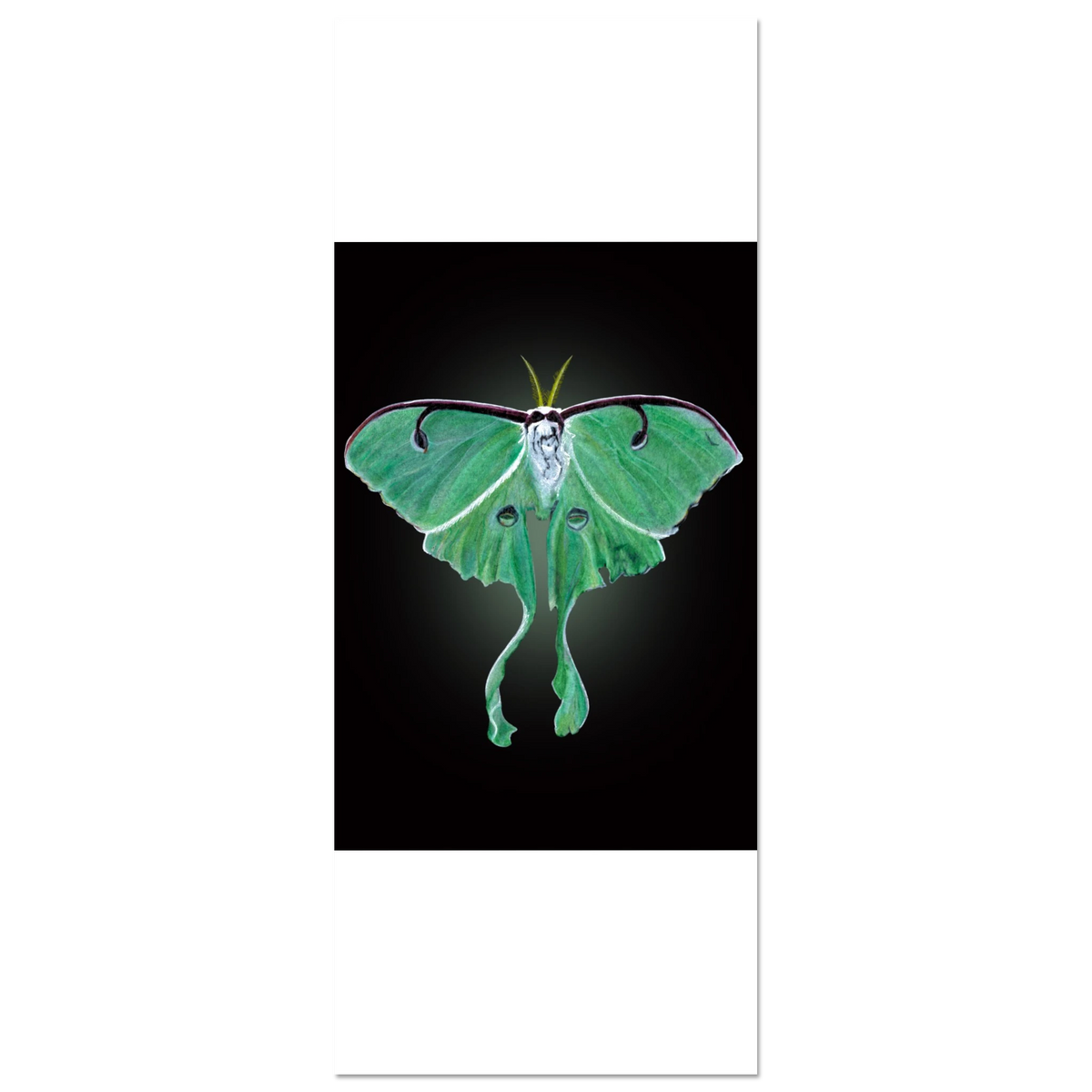 8e79eb57-f722-475a-be30-8579c0828ffc