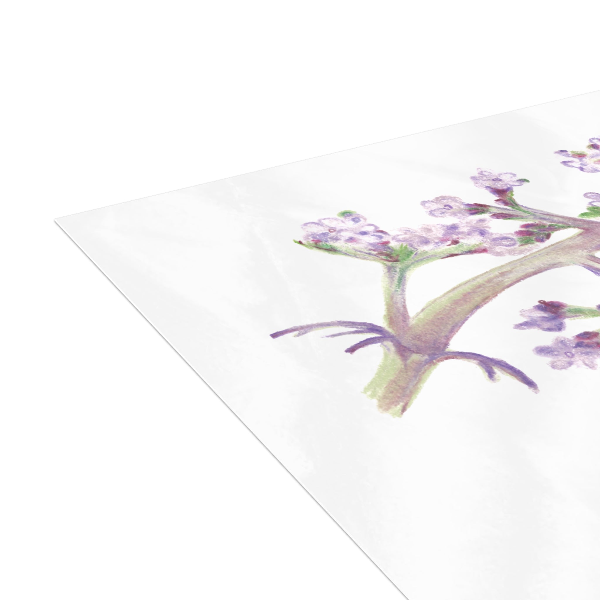 Butterfly Postcard Bundles (envelopes not included)
