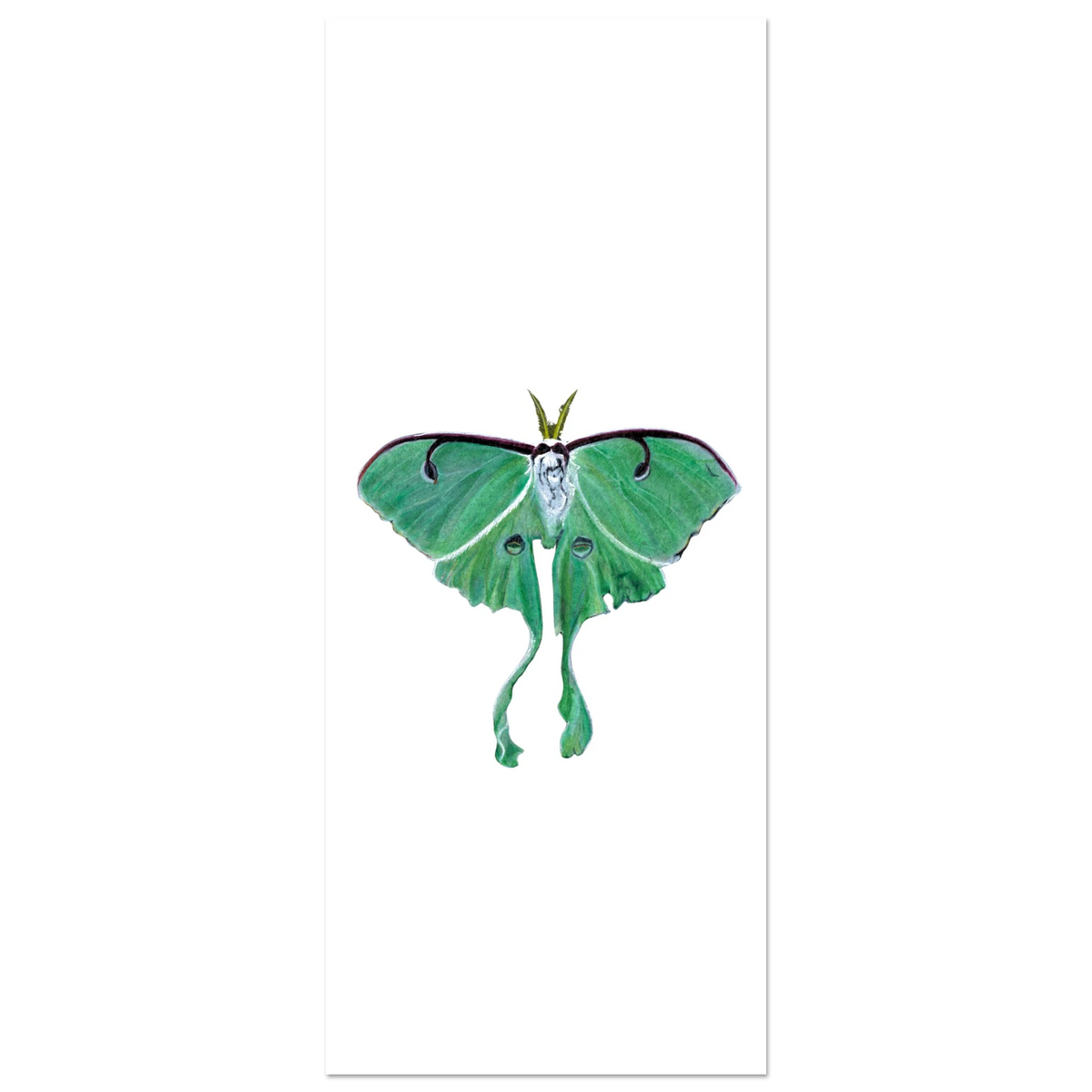 95baba06-0964-41b1-bde0-ebc2c3e5f3ae
