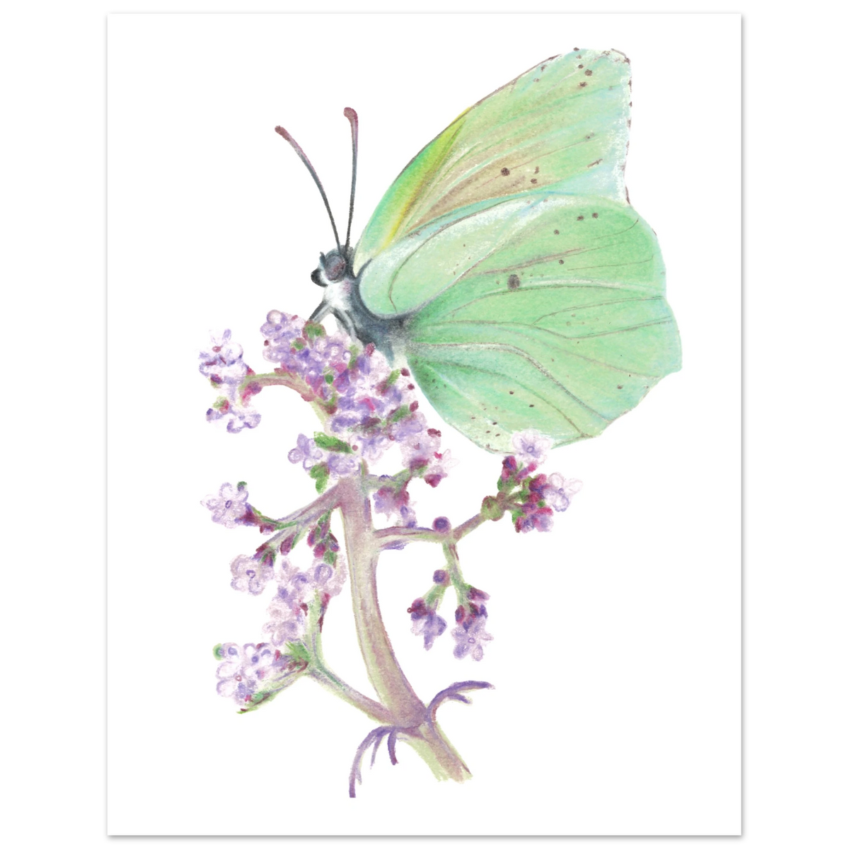 a1a834da-f4dd-4bda-b638-c3090671bb6c