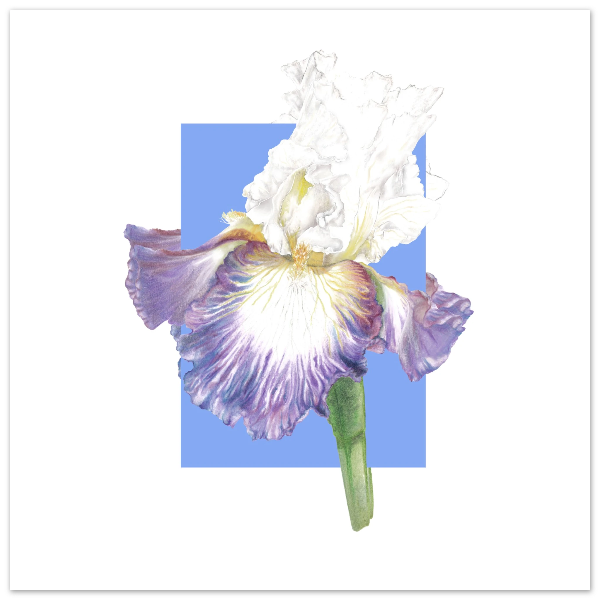 aeb06b0e-2250-497c-bee5-efdfff053ebd