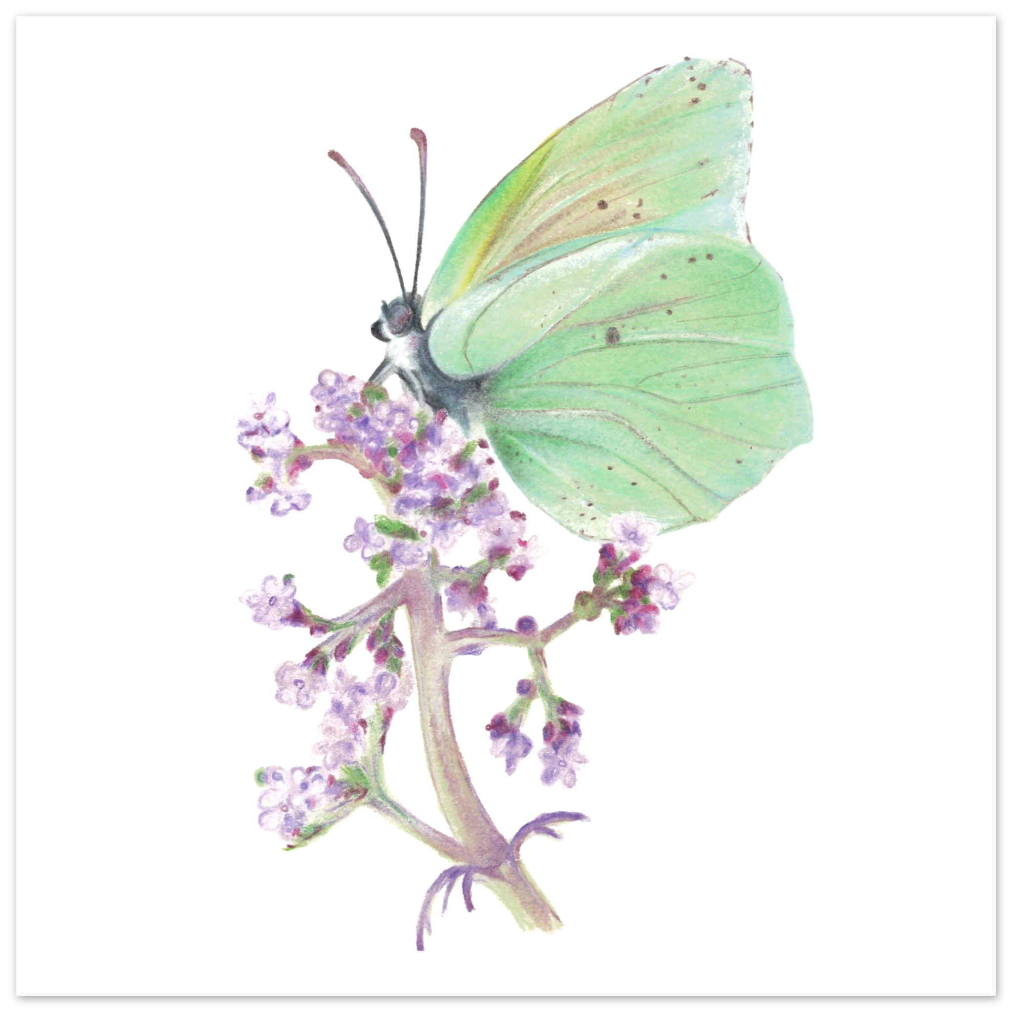 fc3eb225-4c02-4c95-bdaa-bb99baf61b71